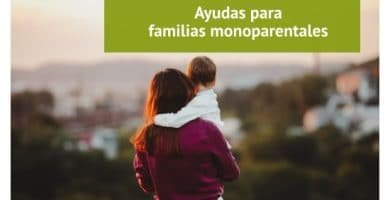 Ayudas públicas para las familias monoparentales